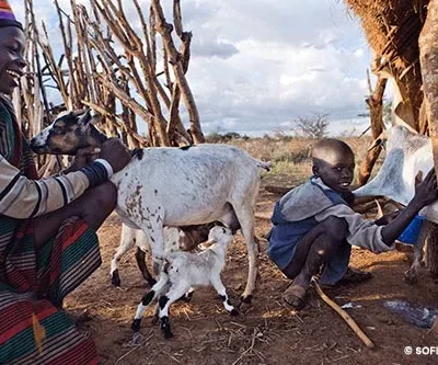 kara-tunga-karamoja-tours-travel-safaris-kraal-warrior-cattle-camp-nigh-2